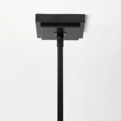 4-Arm Chandelier With Trim Shades Black - Threshold™ Designed With Studio McGee -Online Household Items GUEST 0b777e6f 6c92 4224 8640 b8d1db7fe081