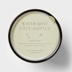 Colored Vase Glass With Dustcover Watermint And Eucalyptus Candle Green - Threshold™ -Online Household Items GUEST 138a925b cebc 4734 877a 32f650153977