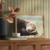 20" X 16" Bear Photography Framed Art Brown - Threshold™ -Online Household Items GUEST 3517e61a d5f0 4c54 bc45 14e5e4e062d4