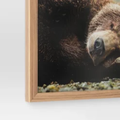 20" X 16" Bear Photography Framed Art Brown - Threshold™ -Online Household Items GUEST 8d29808a 8d0a 4121 a8c8 64d15cc45658