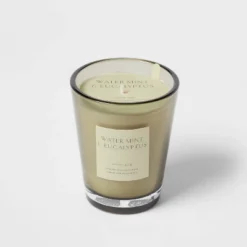 Colored Vase Glass With Dustcover Watermint And Eucalyptus Candle Green - Threshold™ -Online Household Items GUEST ae8e6bdf 6741 4047 bc7b 87c9f71c548e