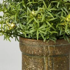 Online Household Items -Online Household Items GUEST c3f88f63 3f38 4689 a4ae 489d5cce09d2