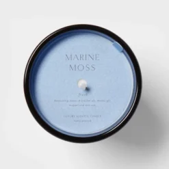 Colored Vase Glass With Dustcover Marine Moss Candle Blue - Threshold™ -Online Household Items GUEST e5035607 20cd 4e66 bc9b 502503c48b69